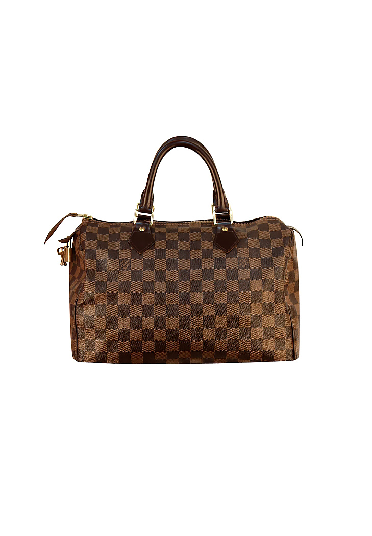 Louis Vuitton Speedy Damier Ebene Bag