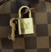 Louis Vuitton Speedy Damier Ebene Bag