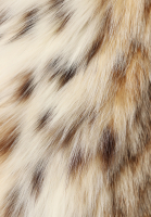 Lynx Fur Christian Dior Coat