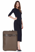 Louis Vuitton Damier Ebene Suitcase