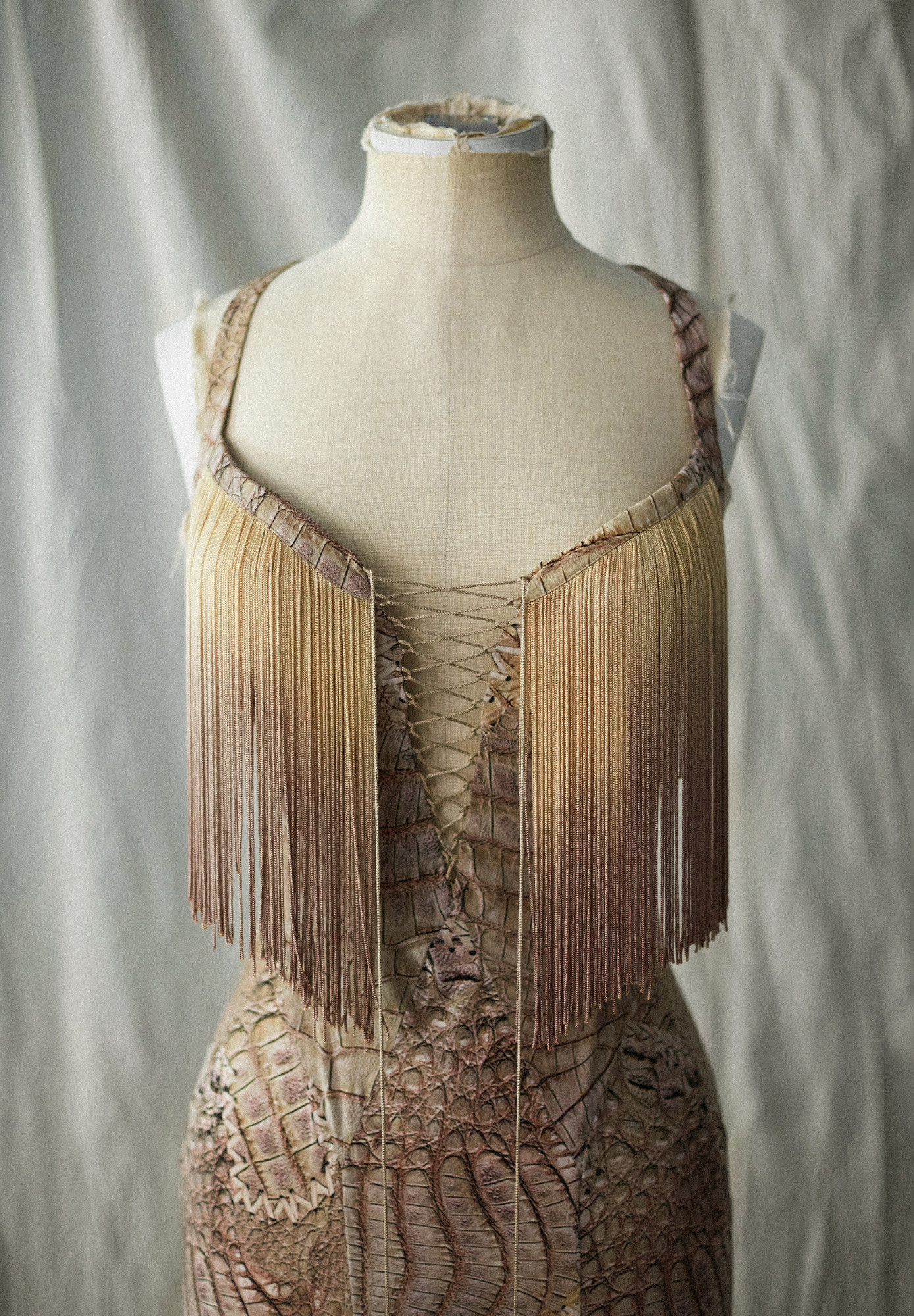 Roberto Cavalli Dress With Ombre Fringe