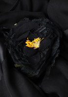 Dolce&Gabbana Cocktail Dress With Flower