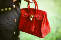 Hermès Birkin 25 Suede Ruby Bag