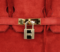 Hermès Birkin 25 Suede Ruby Bag