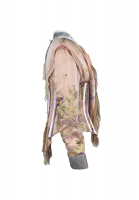 Roberto Cavalli Avant-garde Blouse