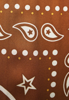 Hermès Brown Printed Trousers