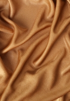 Christian Dior Golden Blouse