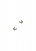 Fish Clip-On Earrings