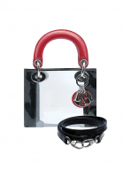 Lady Dior Transparent Mini Bag