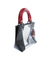 Lady Dior Transparent Mini Bag