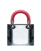 Lady Dior Transparent Mini Bag