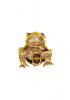 Art Frog Brooch With Crystals And Cabochon