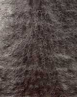 Christian Dior Leather Skirt