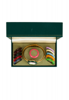 Gucci 11/12.2 Watches With Multicolor Interchangeable Bezels