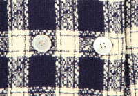 Céline Check Jacket