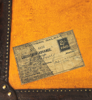 Louis Vuitton Travel Trunk