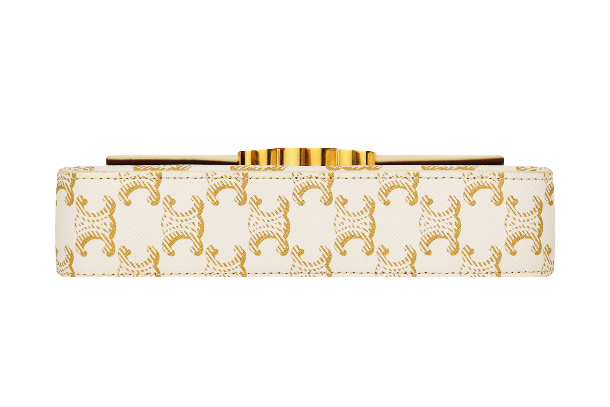 Celine Triomphe Bag With Monograms