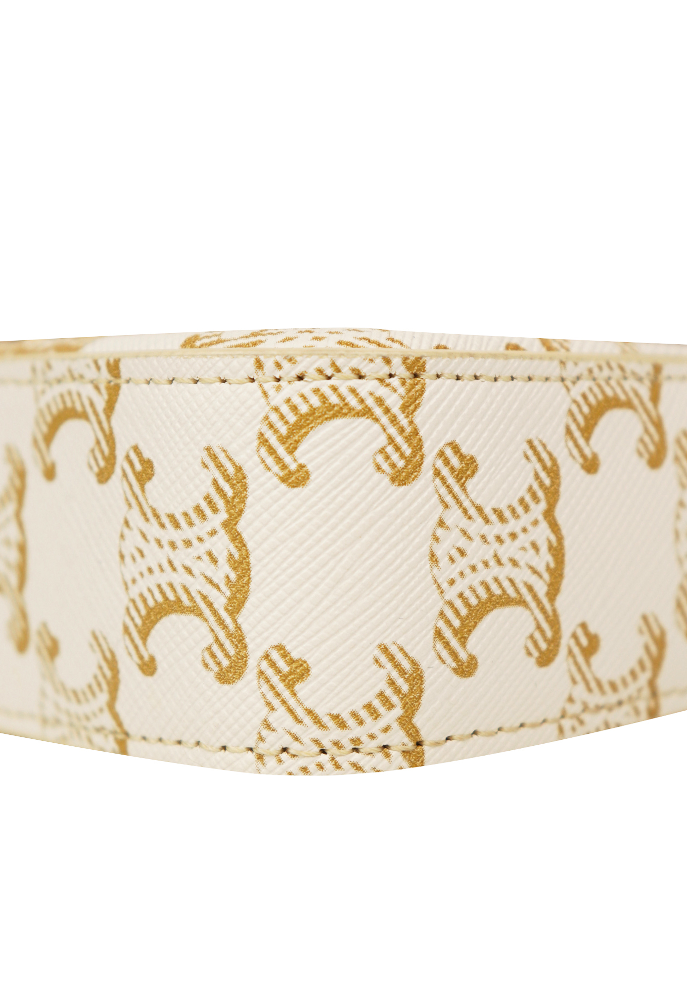 Celine Triomphe Bag With Monograms