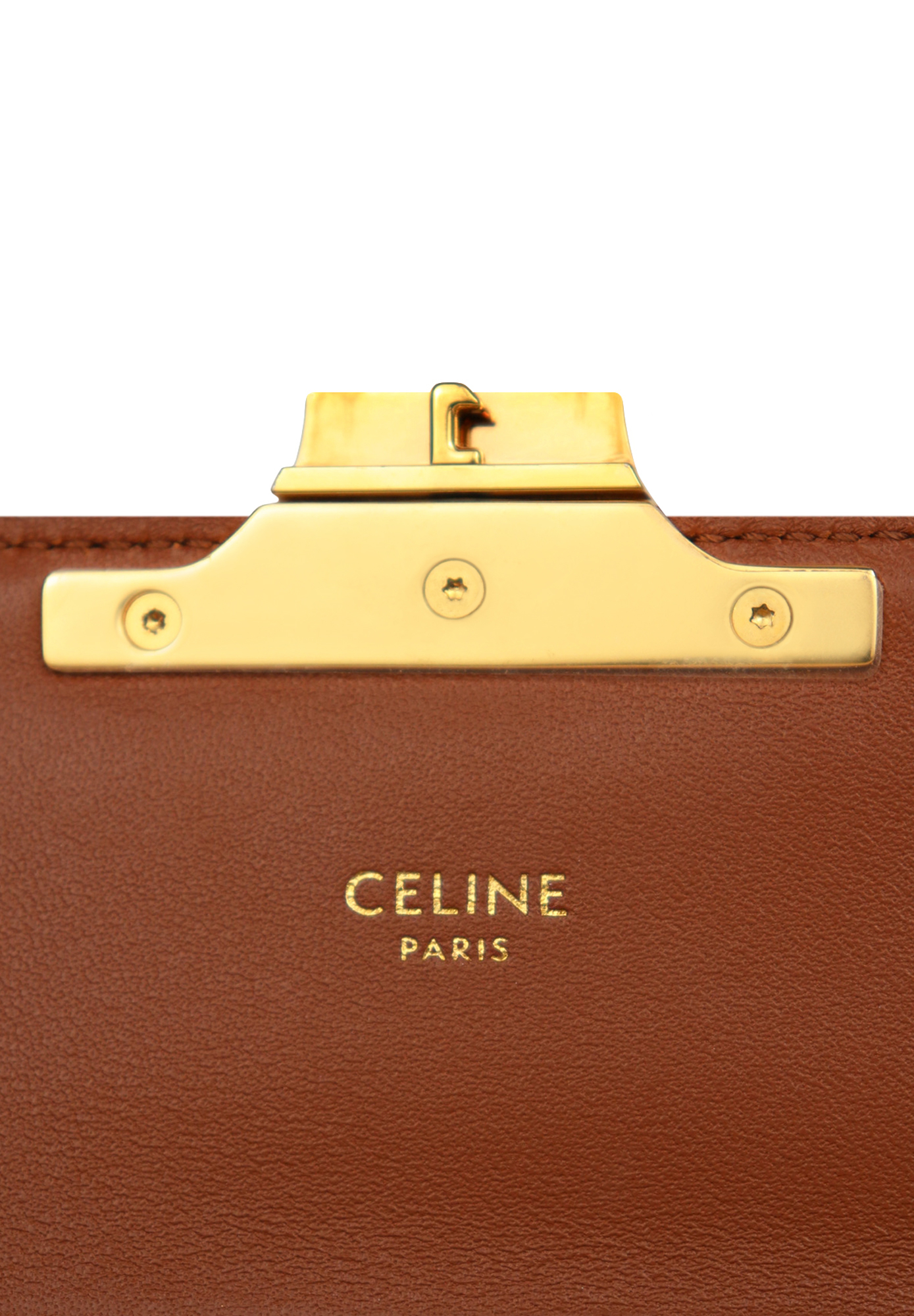 Celine Triomphe Bag With Monograms