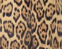 Pust Leopard Fur Coat
