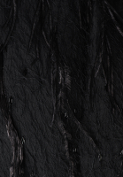 Jason Wu Down Coat With Ostrich Feathers