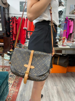Louis Vuitton Limited Edition Saumur Mono Flore Bag