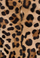 Valentino Leopard Print Fur Vest