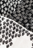 Christian Dior Set With Perforation