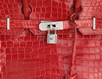 Hermès Birkin 30 Crocodile Bag with Diamonds