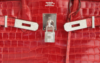 Hermès Birkin 30 Crocodile Bag with Diamonds