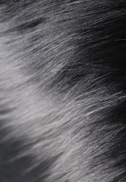Prada Coat with Fur Cuffs