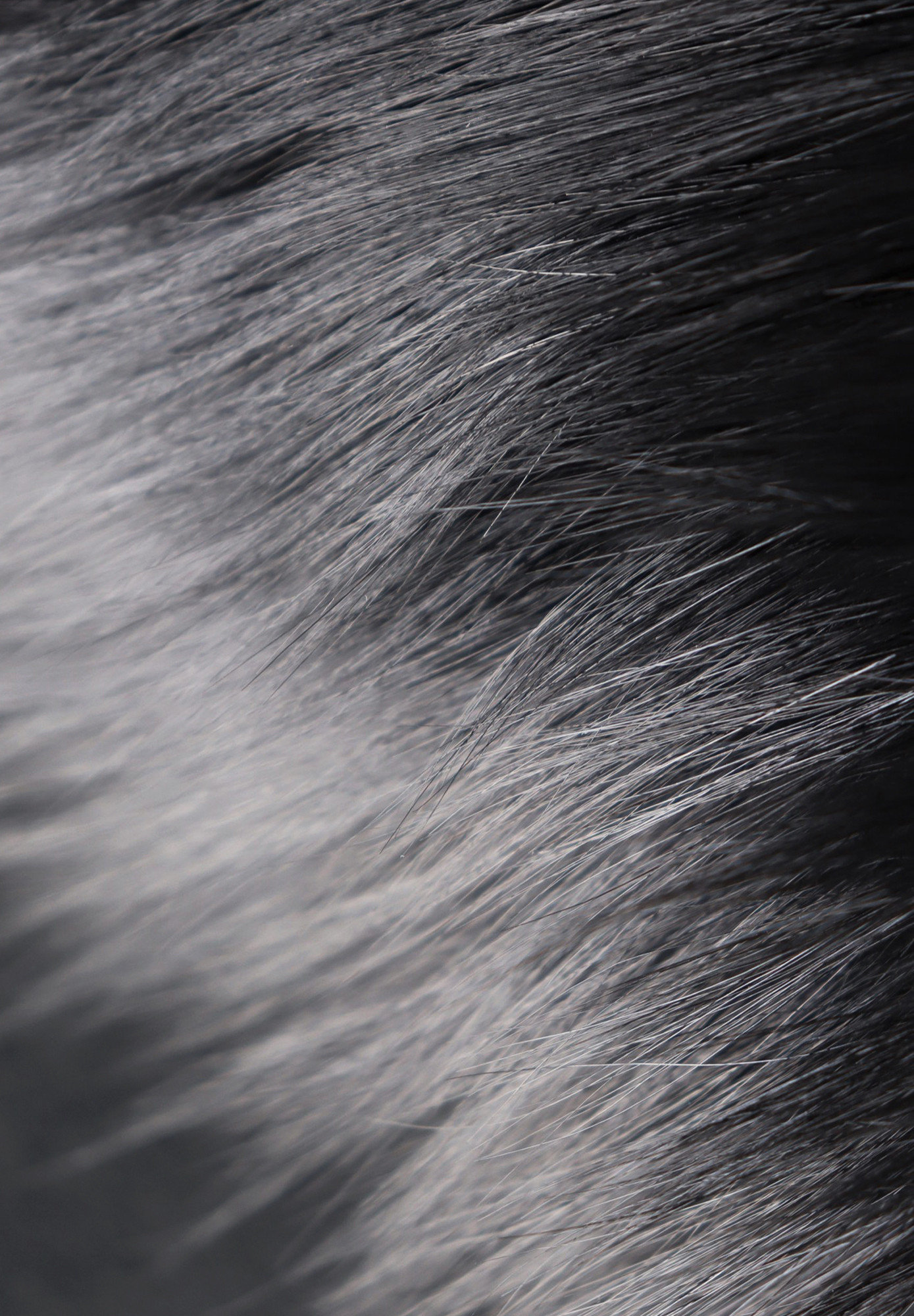 Prada Coat with Fur Cuffs