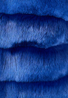 Blue Loro Piana Fur Vest