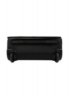 Louis Vuitton Pégase Black Taiga Leather 55 Suitcase 
