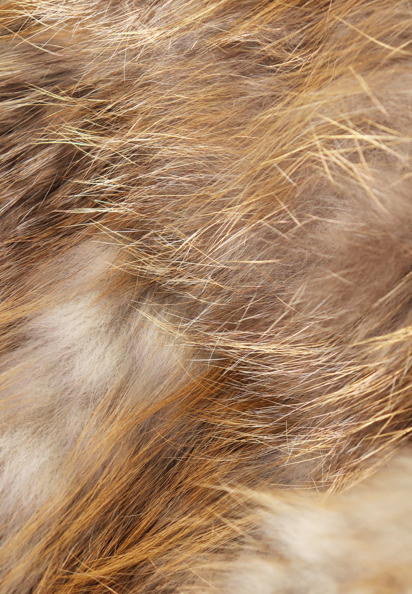 Fendi Golden Fox Fur Coat