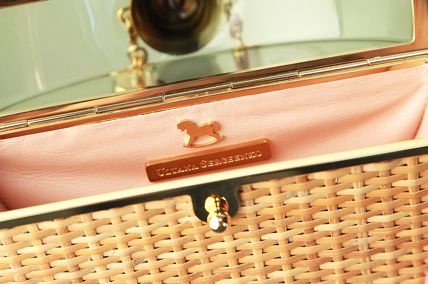 Ulyana Sergeenko Handbag