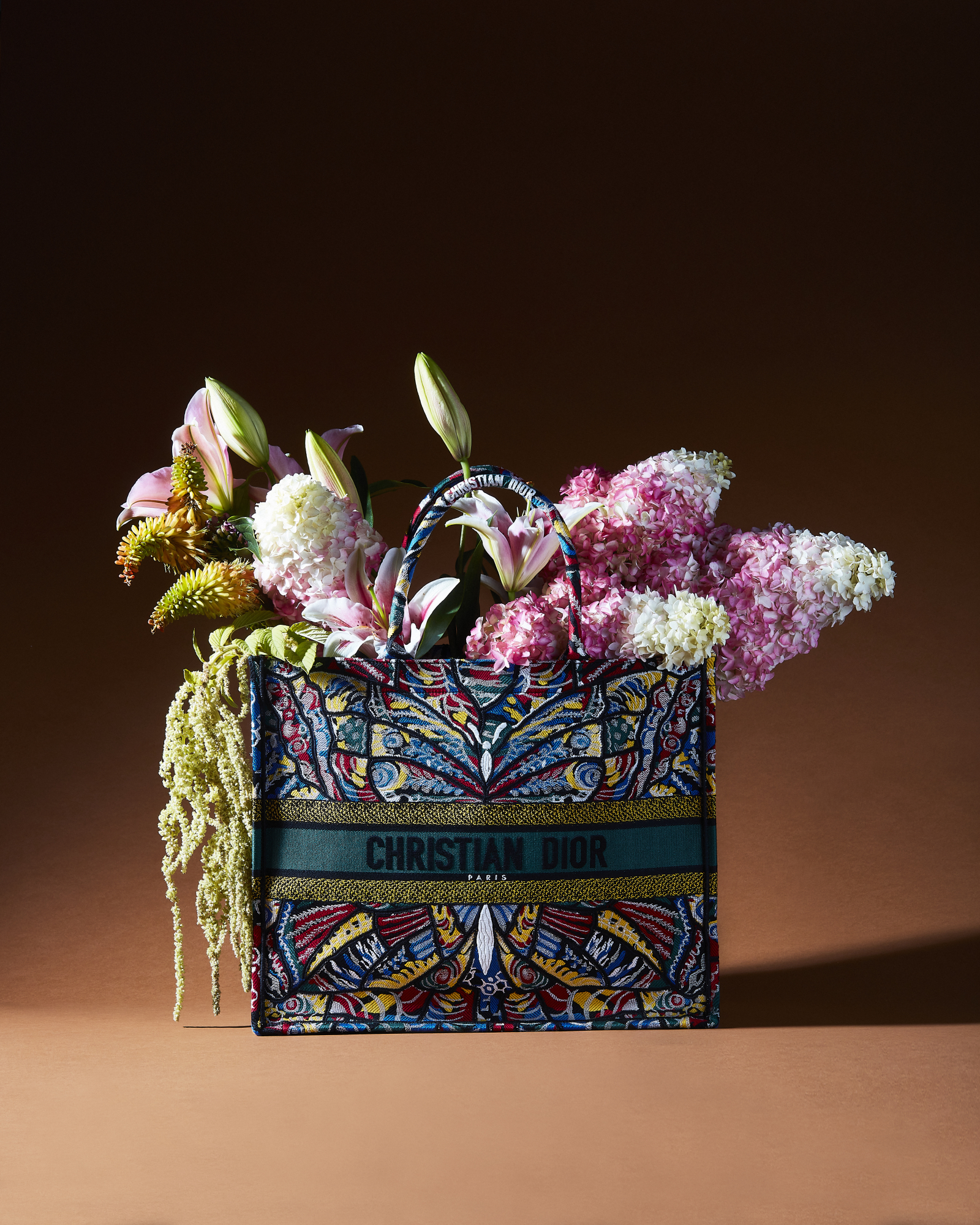 Christian Dior Book Tote Multicolor Butterfly Embroidery Bag