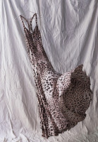 Roberto Cavalli Leopard Print Dress