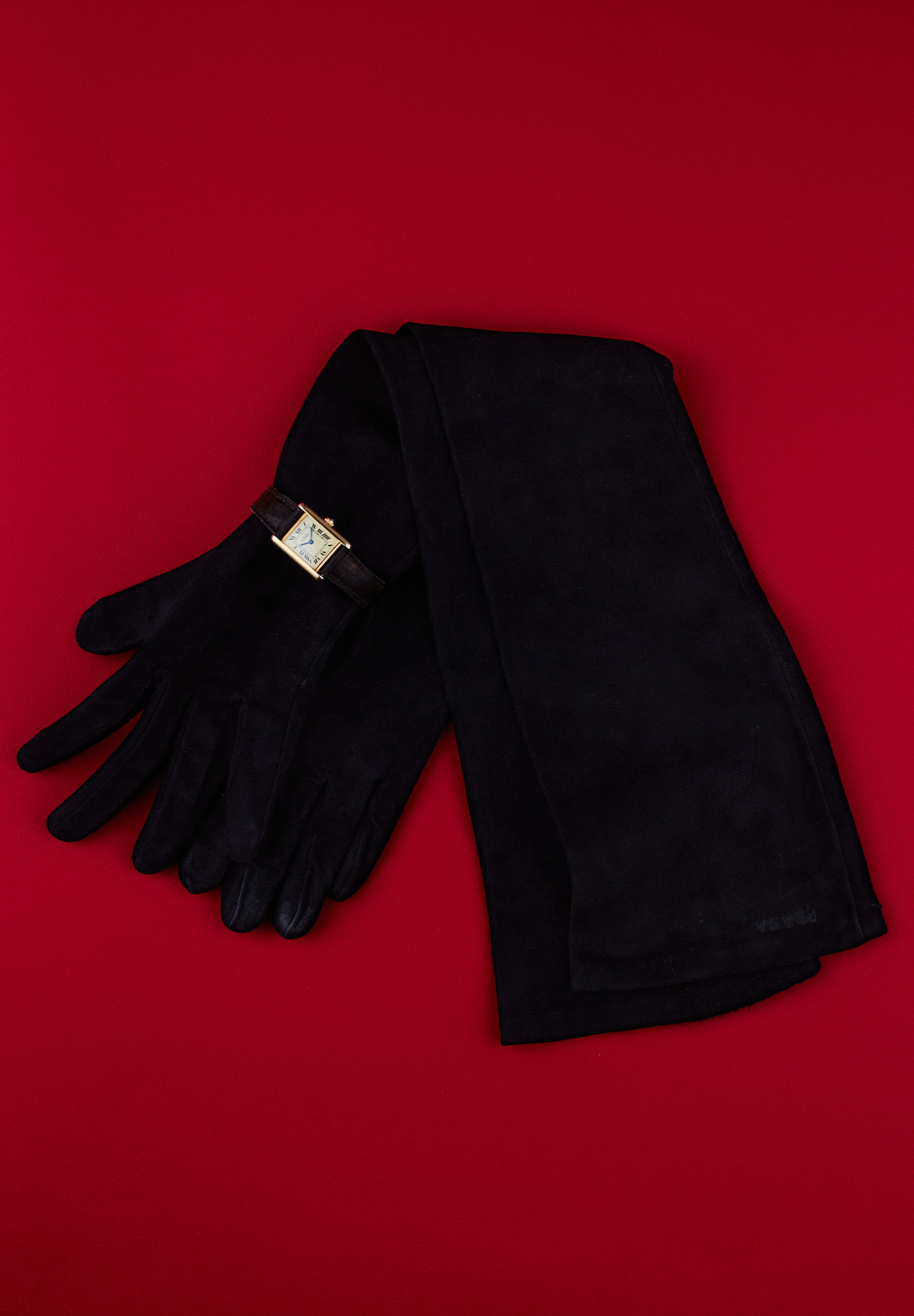 Prada Long Suede Gloves