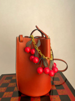 Céline Brown Bucket Bag