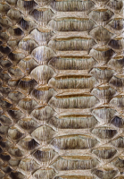 Gucci Python Leather Jacket