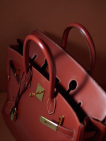 Hermès HAC Birkin 32 Brique Box Bag