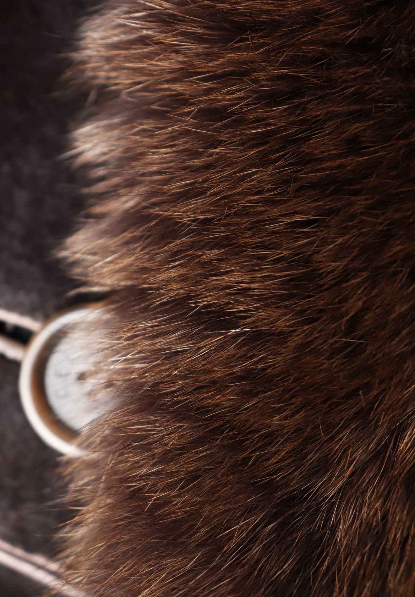 Celine Coat with Fur Collar