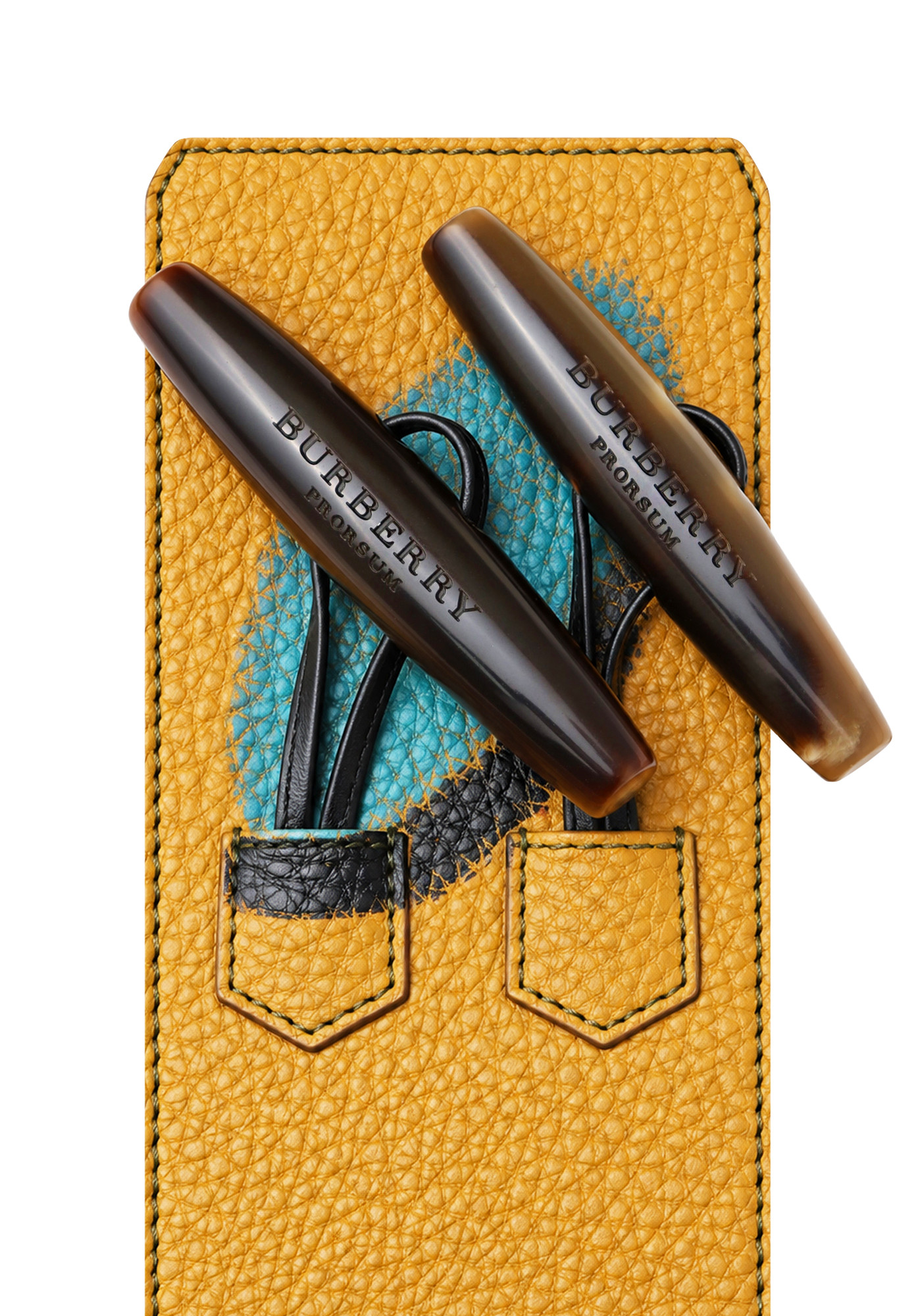 Burberry Belt with Print