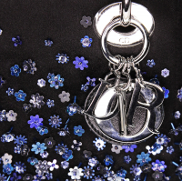Mini Lady Dior Limited Edition Bag