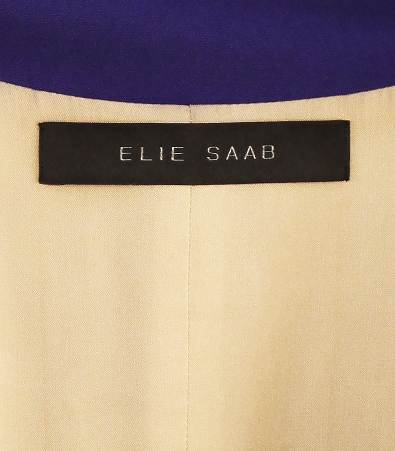 Elie Saab Blue Jumpsuit