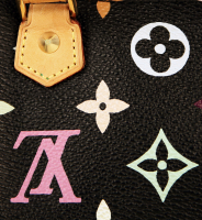 Louis Vuitton Black Monogram Multicolor Nano Speedy Bag