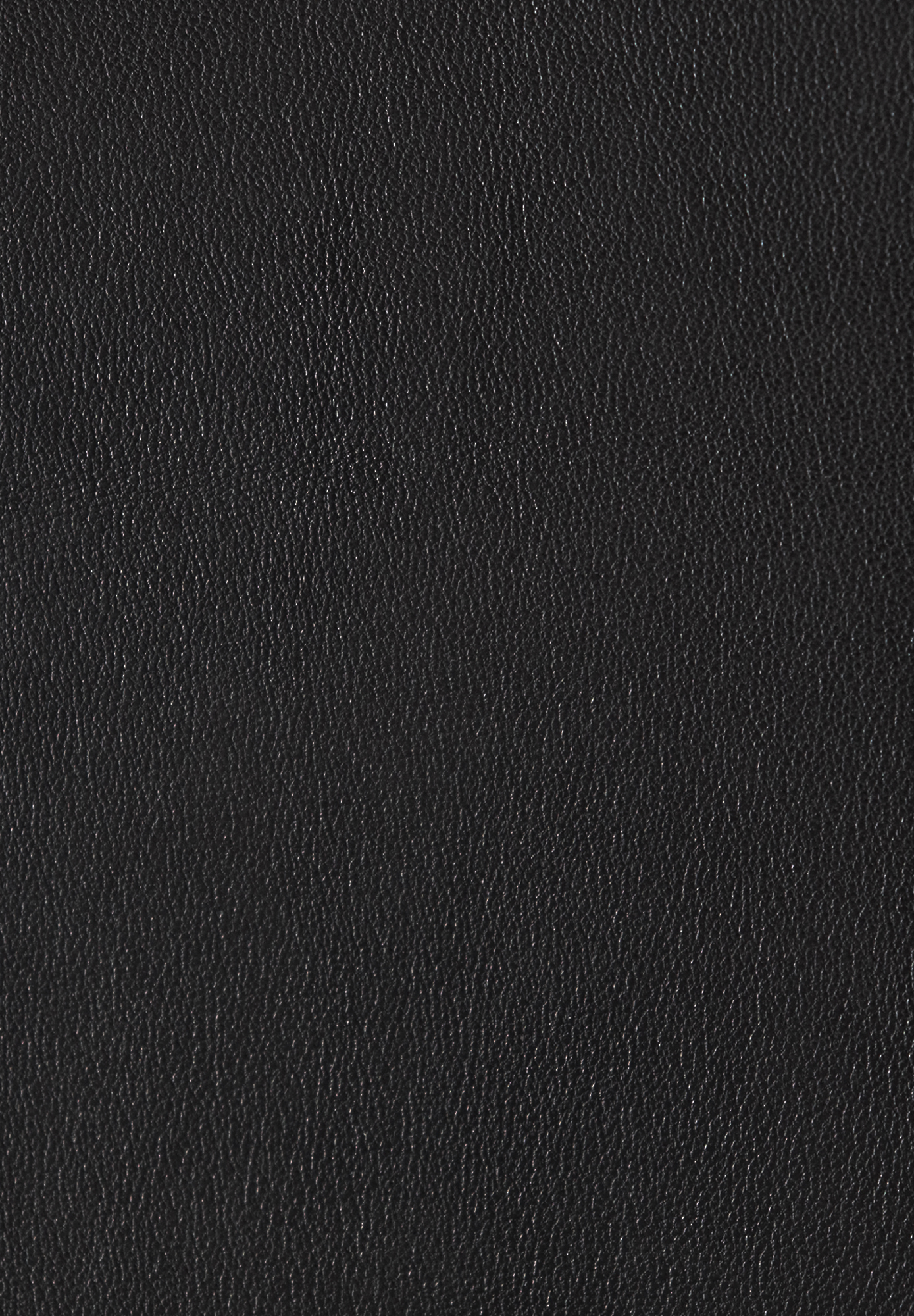 Valentino Black Leather Skirt