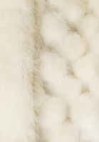 Christian Dior Mink Fur Coat