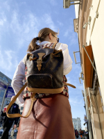 Louis Vuitton Monogram Backback